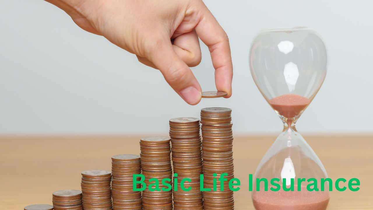 Basic Life Insurance